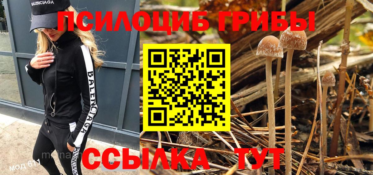 Добрянка  Псилоцибиновые грибы Psilocybe  Вход с VPN 