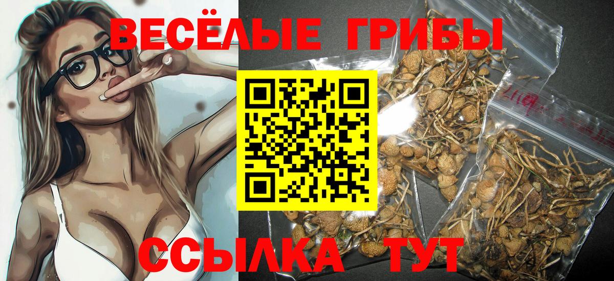 Псилоцибиновые грибы мицелий Добрянка